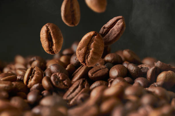 Which One is Right for You? Choosing Between Arabica and Robusta Like a Coffee Pro