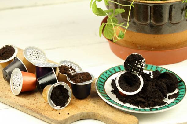 istockphoto 1461634376 612x612 1