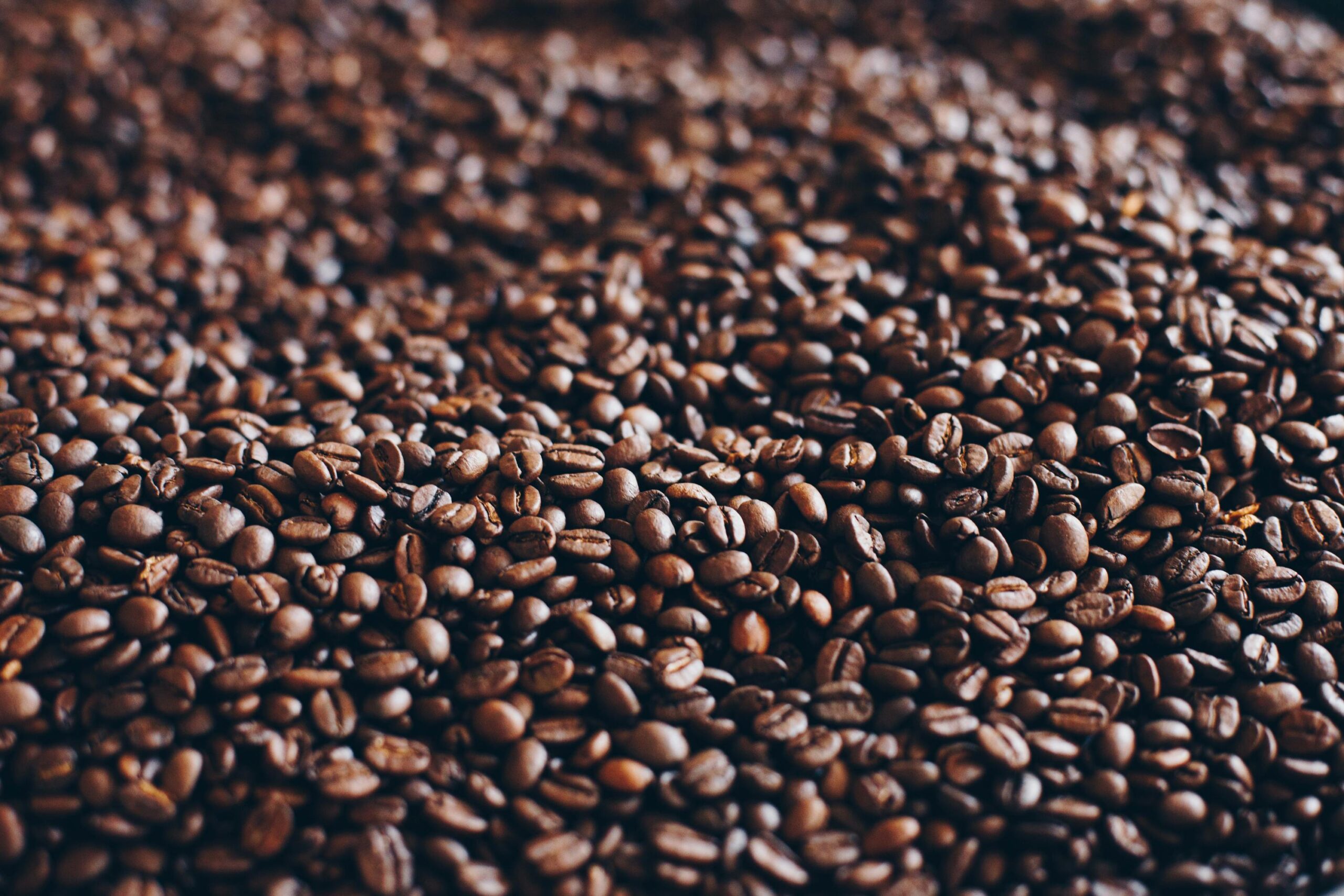 Coffee for Mental Clarity: Best Beans for Focus (2025)